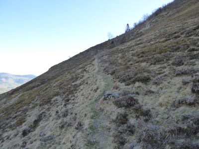 Sentier cabane