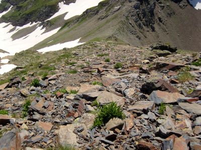 Vue descente sommet