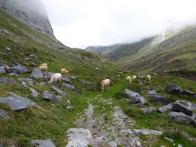 Cabane Coste Goua 2