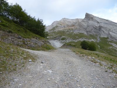 Croisement 5