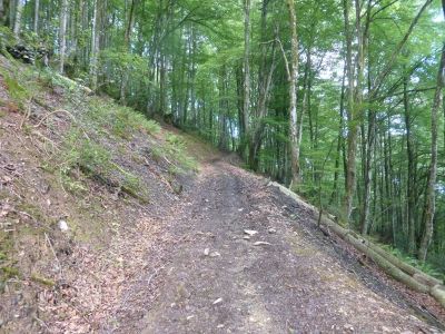 Vue chemin Nabails
