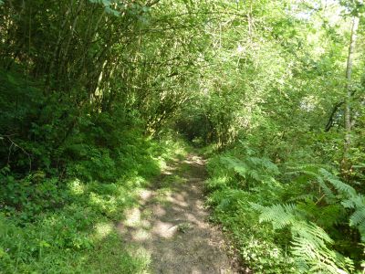 Vue chemin Arriulé