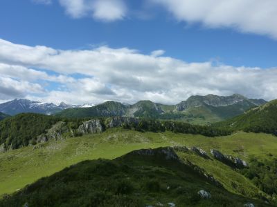 Descente