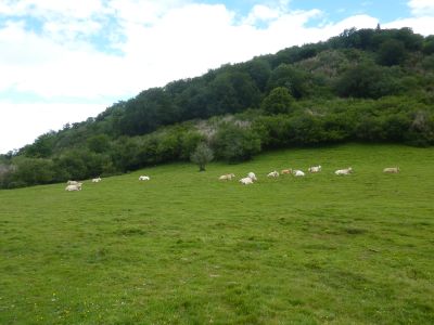 Vue Arriulé
