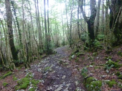 Vue chemin Tisné