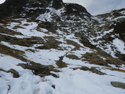 Epaule Anglas