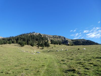 Vue montée sommet