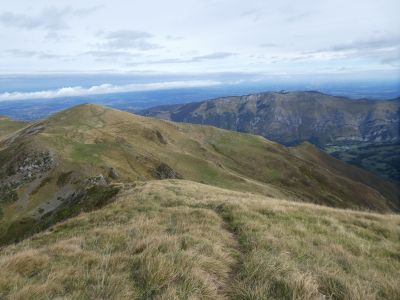 Descente Rouye