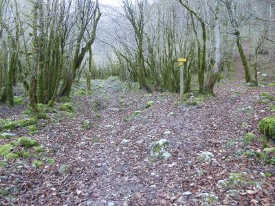 Croisement chemin Teilhet