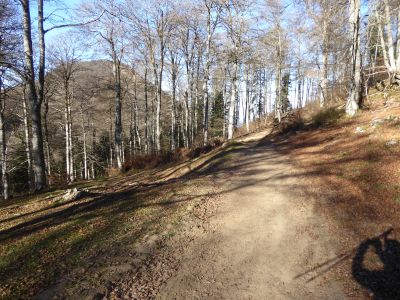 Croisement piste Palomières