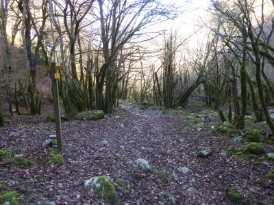 Croisement chemin Teilhet 2