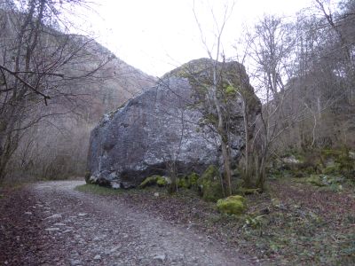 Rocher chemin