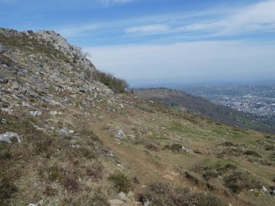 Croisement Tucou