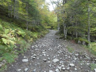 Vue chemin Chiroulet