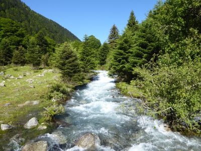 Adour Lesponne