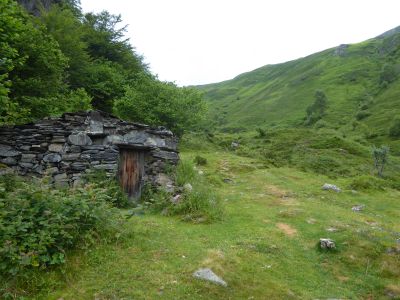 Cabane