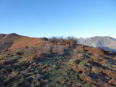 Descente Trées