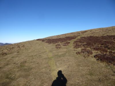 Chemin Trézères 2