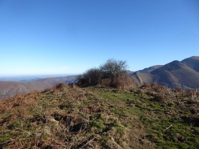 Trées retour