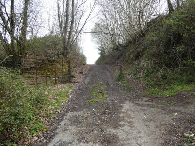 Croisement après Loup