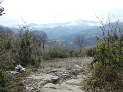 Croisement avant gare Béout