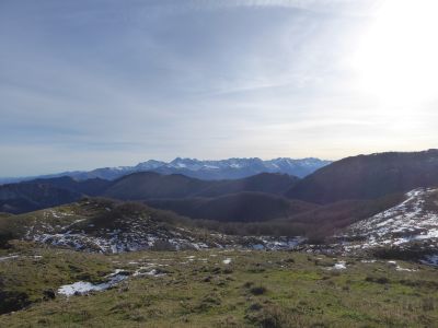 Descente Génie Braque