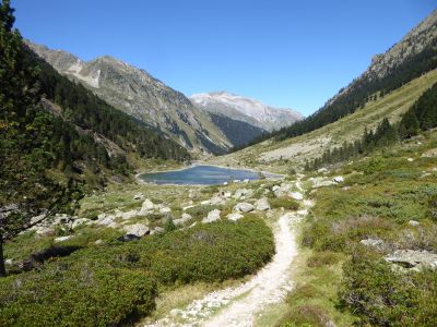 Croisement Batcrabère 1 2