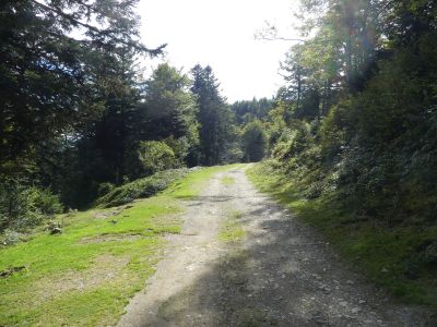 Croisement après Col Bazès