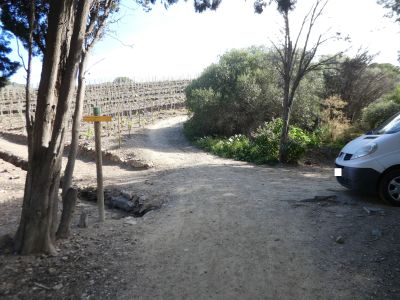 Platja Elmes
