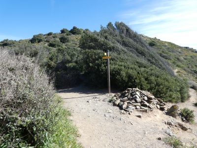 Cap Ullastrell