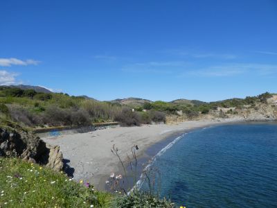 Vue Platja Forat 2