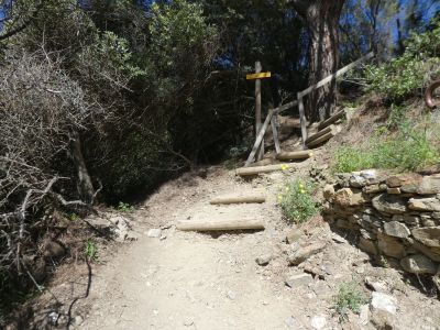 Anse Paulilles