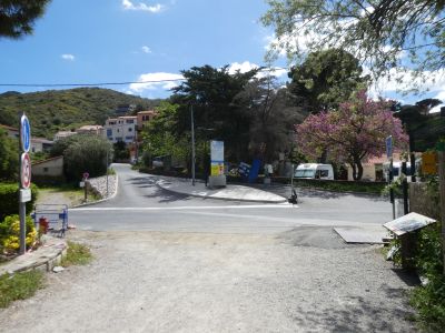 Croisement D86b