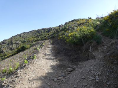 Croisement après Molló