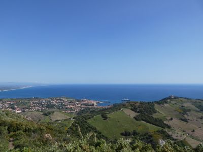 Vue Collioure