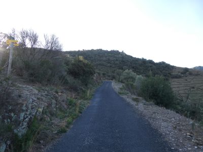 Croisement après Ramonet 2