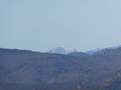 Vue Collada Verda