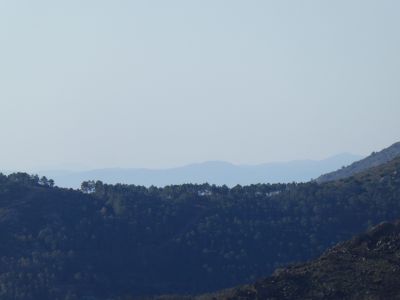 Vue Suro