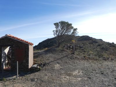 Puig Gallina