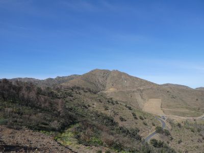 Vue Gallina