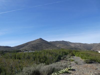 Vue Joan 2