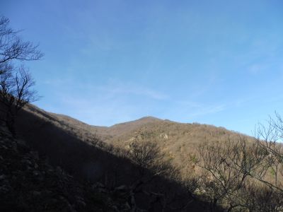 Vue Albères