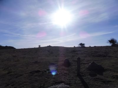 Collada Orri