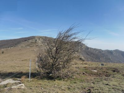 Vue Tramontane