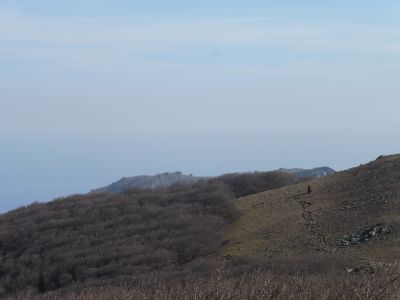 Vue Sallfort