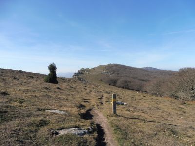 Puig Termes / Basses