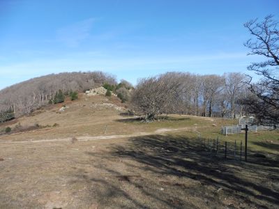 Coll Tres Faigs
