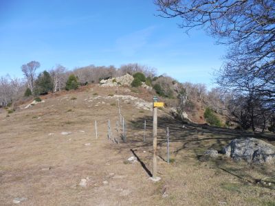 Coll Tres Faigs 2