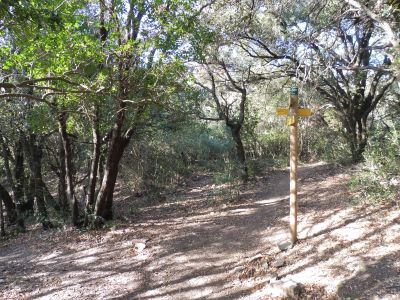 Collada Espinàs