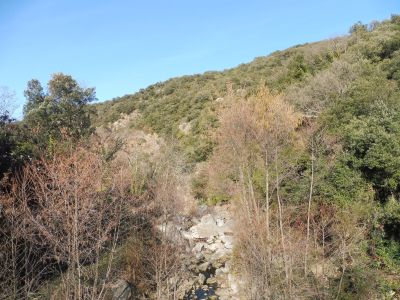 Vue Ribera Sureda